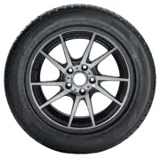 Tomket 205 50 R16 91V Snowroad Pro 3 XL 15233367