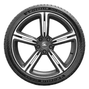 MICHELIN 245 45 ZR19 102Y Pilot Sport 5 XL 15353552