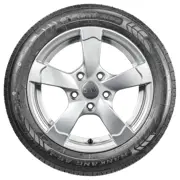 Nankang 175 50 R13 72V AS I MFS 15090532