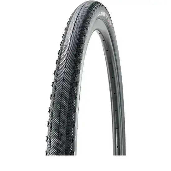 Maxxis 47 584 RECEPTOR EXO TR Dual 120 TPI Faltreifen 15329754