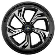 MICHELIN 255 50 R21 109Y Pilot Sport EV XL Acoustic RG 15381446