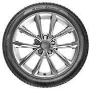 Nexen 205 55 R19 97V N blue 4Season 2 XL 15391600