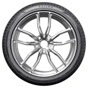 Sailun 205 55 R17 95W Atrezzo 4Seasons Pro XL BSW 15404391
