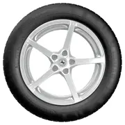 Continental 205 55 R17 95Y PremiumContact 5 XL J 15415613