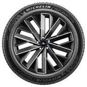 MICHELIN 255 45 R21 106Y Pilot Sport 5 Energy XL NRG 15441321